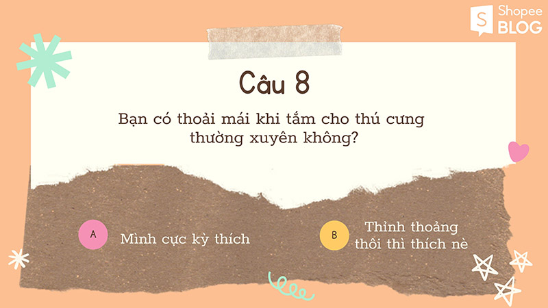  tắm cho thú cưng