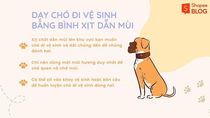 Sử dụng bình xịt dẫn mùi để dạy chó đi vệ sinh đúng chỗ là cách làm hiệu quả (Nguồn: Shopee Blog)