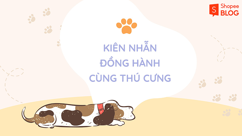 Kiên nhẫn và yêu thương thú cưng trong suốt quá trình huấn luyện (Nguồn: Shopee Blog)