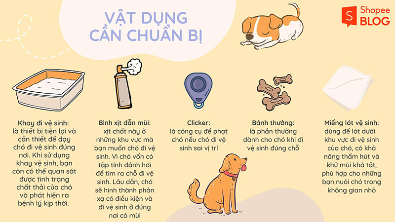  vật dụng dạy chó đi vệ sinh