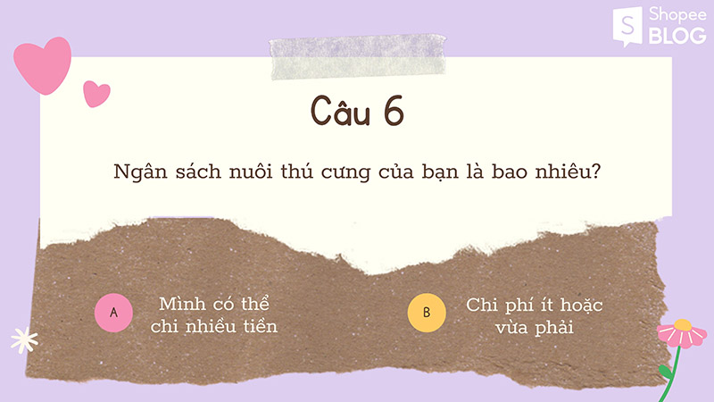 ngân sách sẽ ảnh hưởng đến quyết định nên nuôi chó hay mèo 