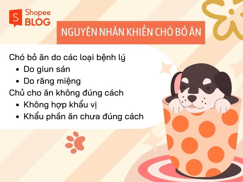 Nguyên nhân chó bỏ ăn nôn