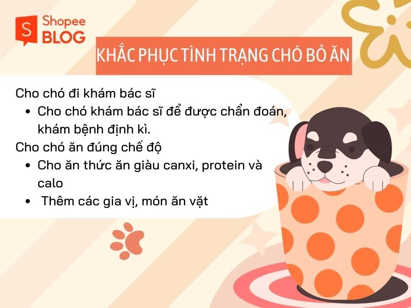 Khắc phục tình trạng chó bỏ ăn