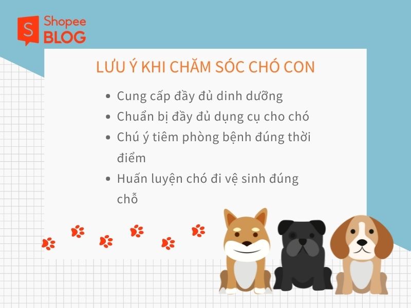 Những lưu ý khi chăm sóc chó con