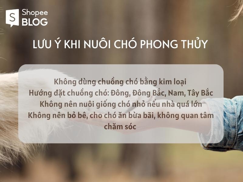 Lưu ý khi nuôi chó phong thủy