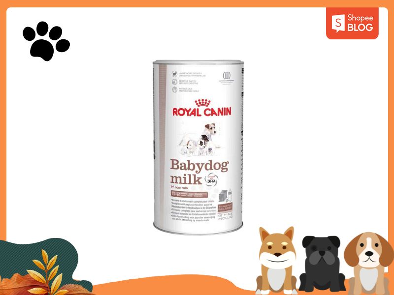 Sữa bột Royal Canin Babydog