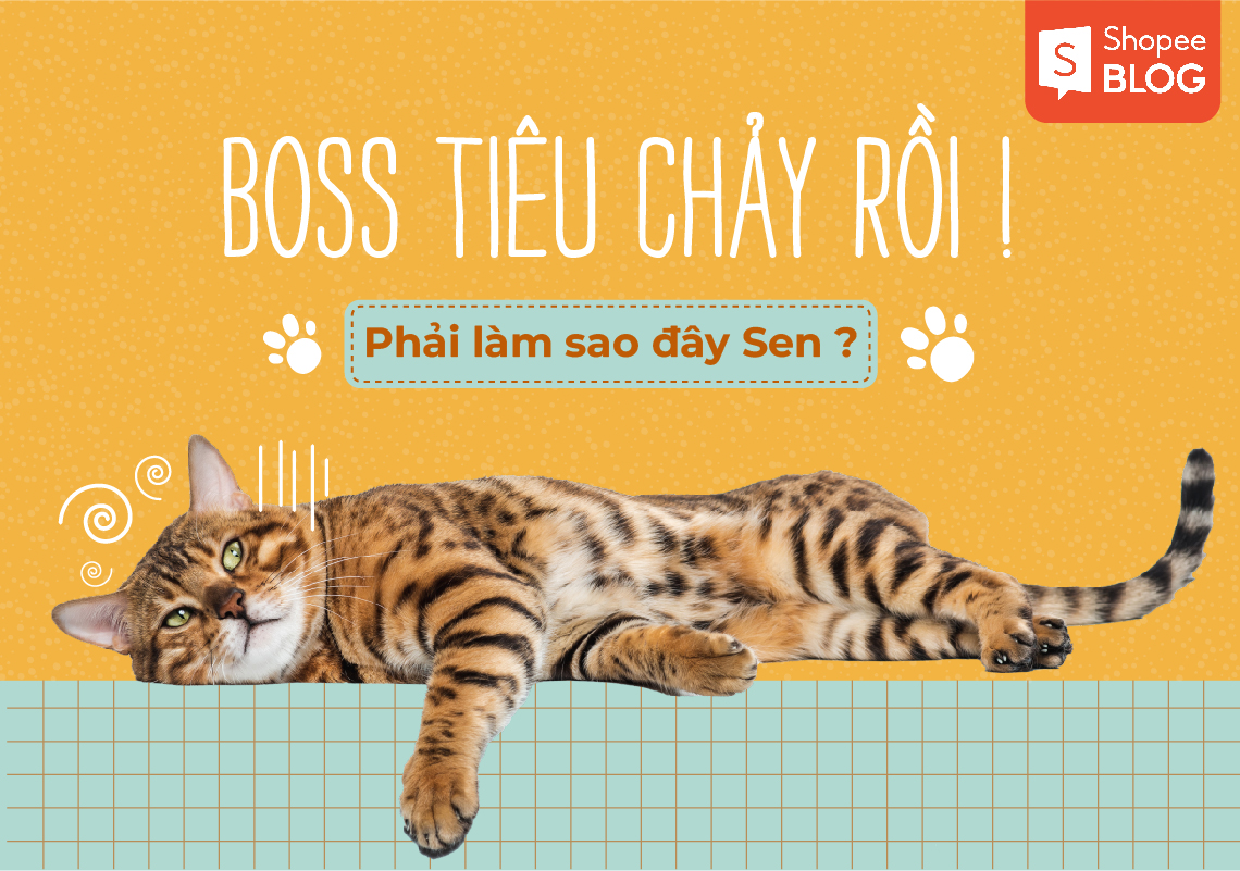 mèo bị tiêu chảy