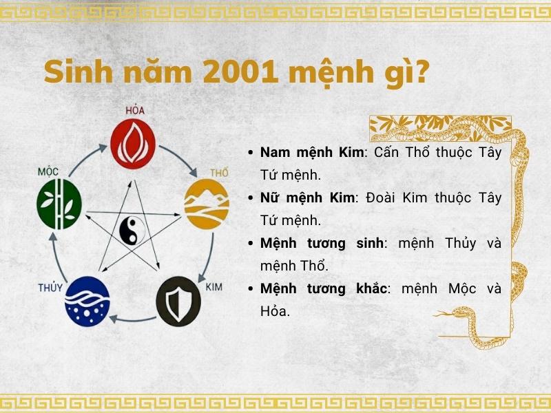 2001 mệnh gì? Tìm hiểu vận mệnh, phong thủy và tử vi chi tiết