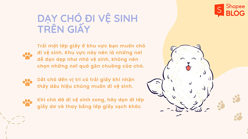 Dạy chó đi vệ sinh trên giấy đúng cách (Nguồn: Shopee Blog)