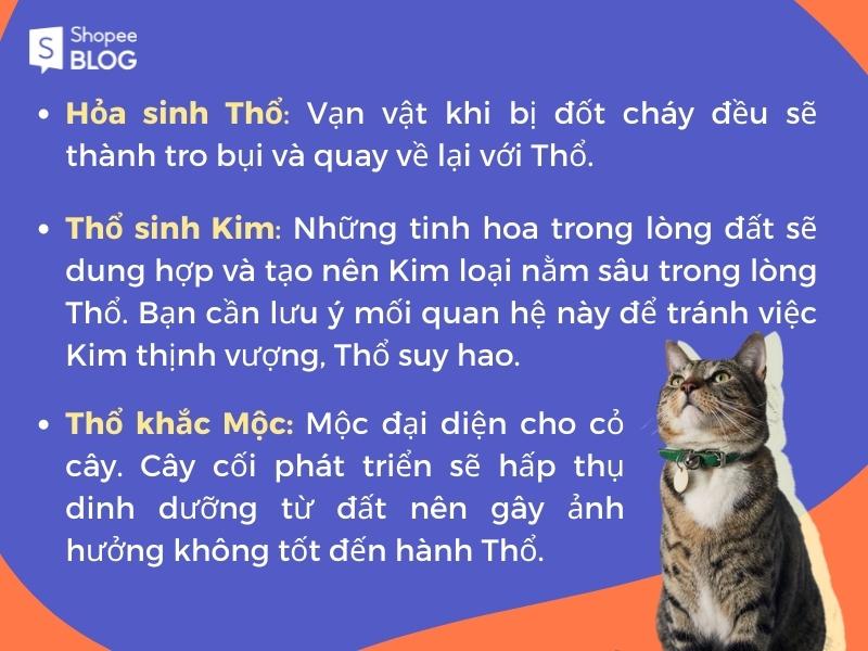 Sinh năm 1999 mệnh gì và các mối quan hệ tương hỗ (Nguồn: Shopee Blog)