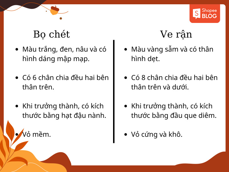 bảng phân biệt bọ chét và ve rận chó