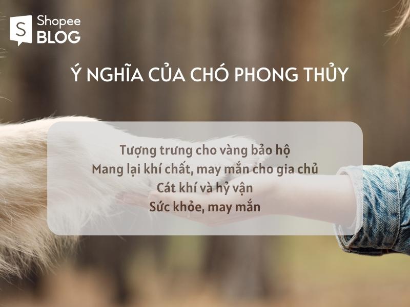 nuôi chó có ý nghĩa gì? Ý nghĩa của chó phong thủy