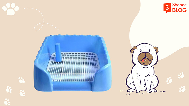 Khay đi vệ sinh cho chó (Nguồn: Shopee Blog)