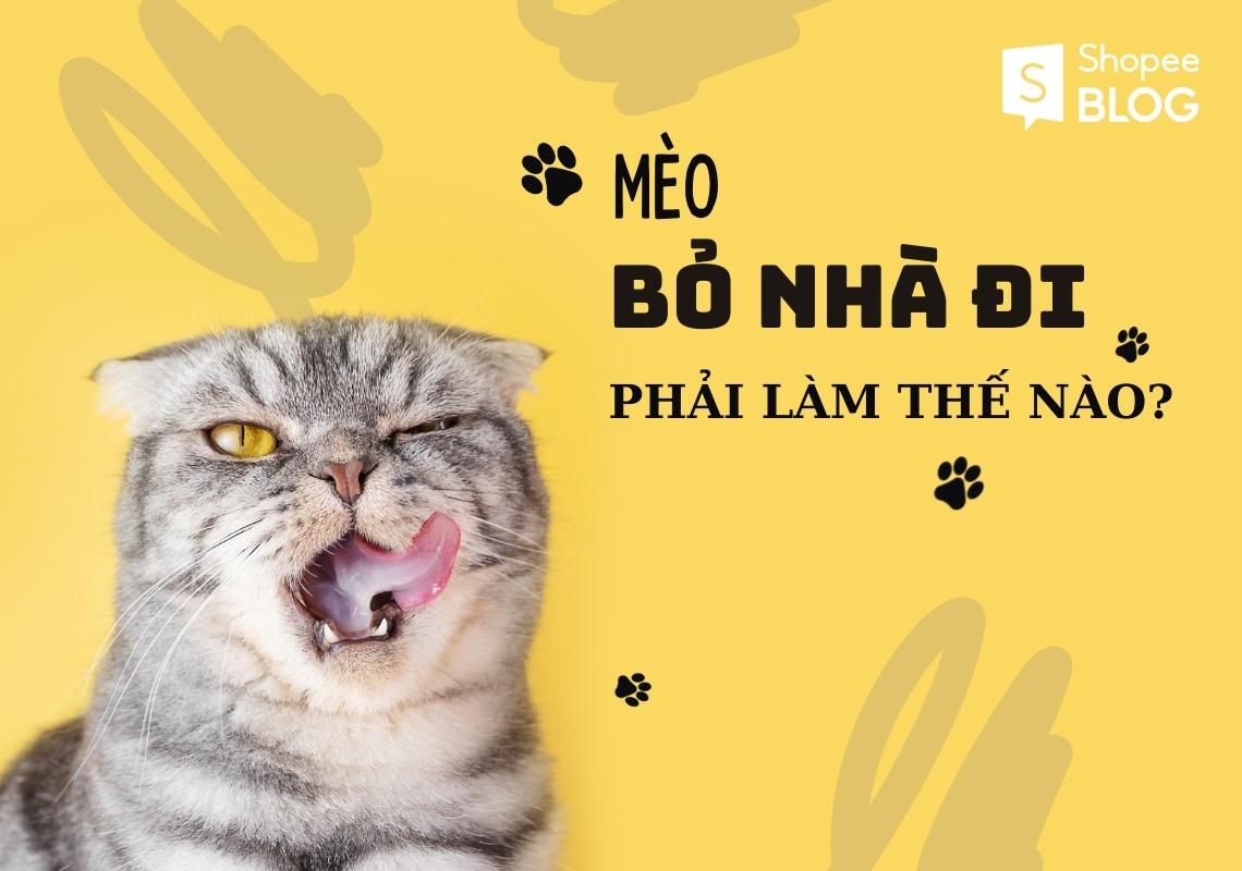 mèo bỏ nhà đi