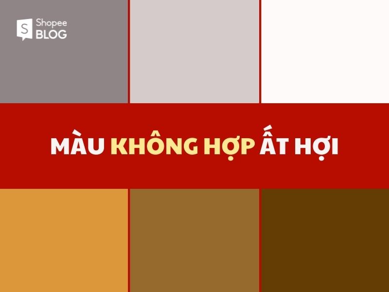 Các tông màu kỵ với tuổi Ất Hợi (Nguồn: Shopee Blog)