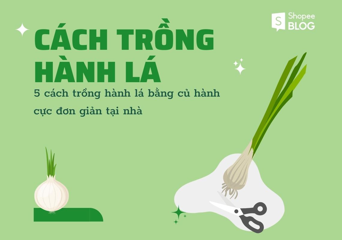 Cách trồng hành lá