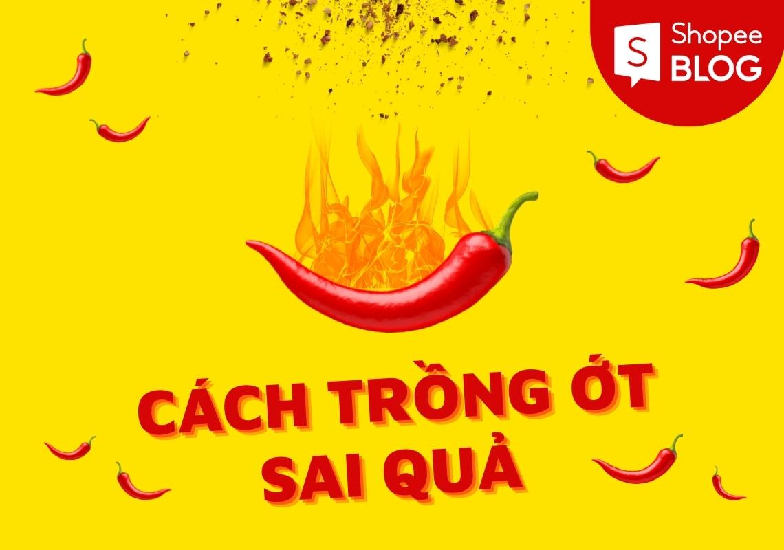 cách trồng ớt