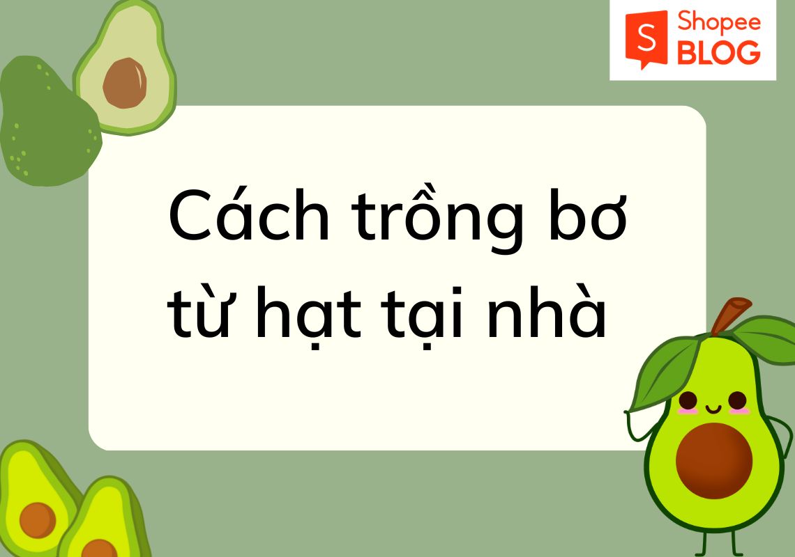 Cách trồng bơ