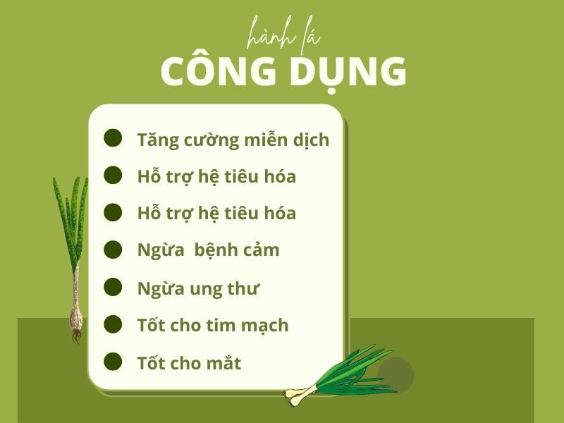 Công dụng của hành lá