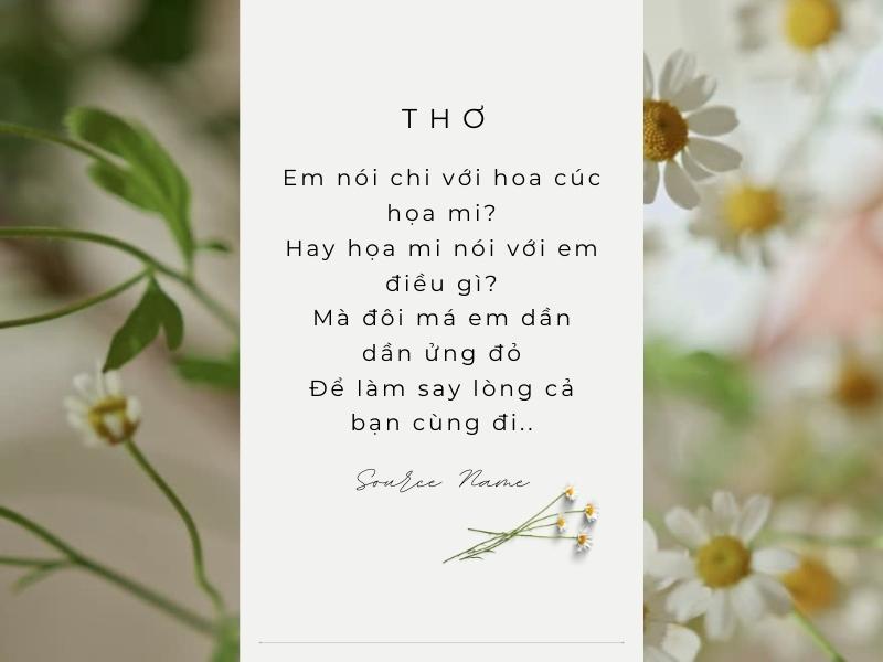 Câu thơ hay về loài hoa cúc họa mi