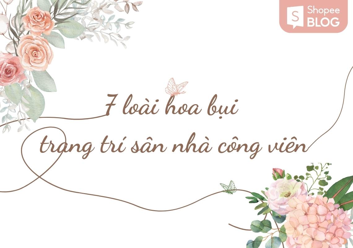 các loại hoa bụi dễ trồng