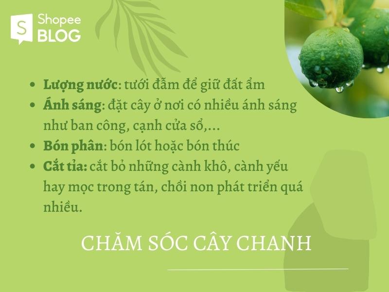 Cách trồng cây chanh và chăm sóc cây sau trồng là gì?