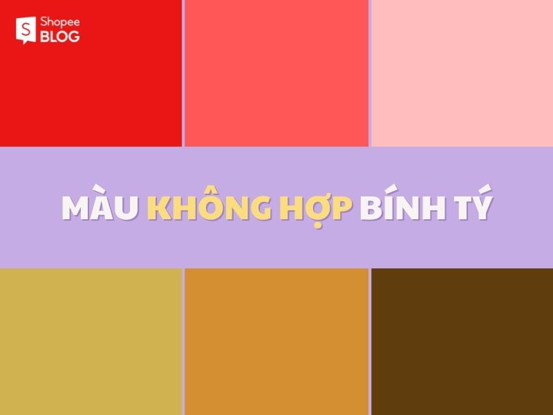 Các tông màu kỵ với tuổi Bính Tý (Nguồn: Shopee Blog)