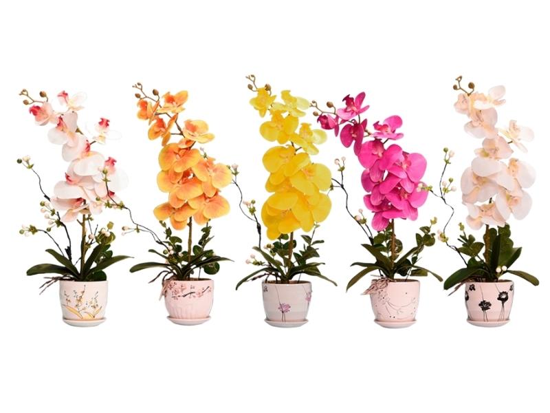 Hoa lan hồ điệp giả nhiều màu