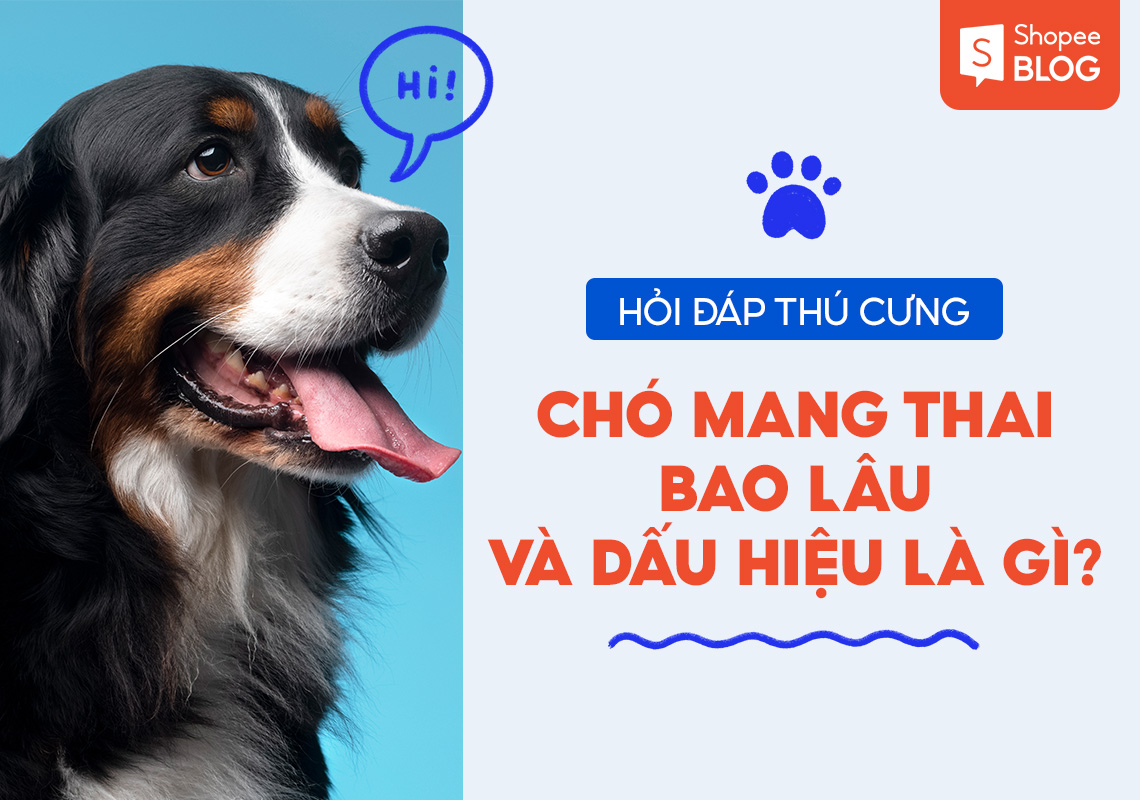 Hỏi đáp thú cưng: chó mang thai bao lâu và dấu hiệu là gì? 2