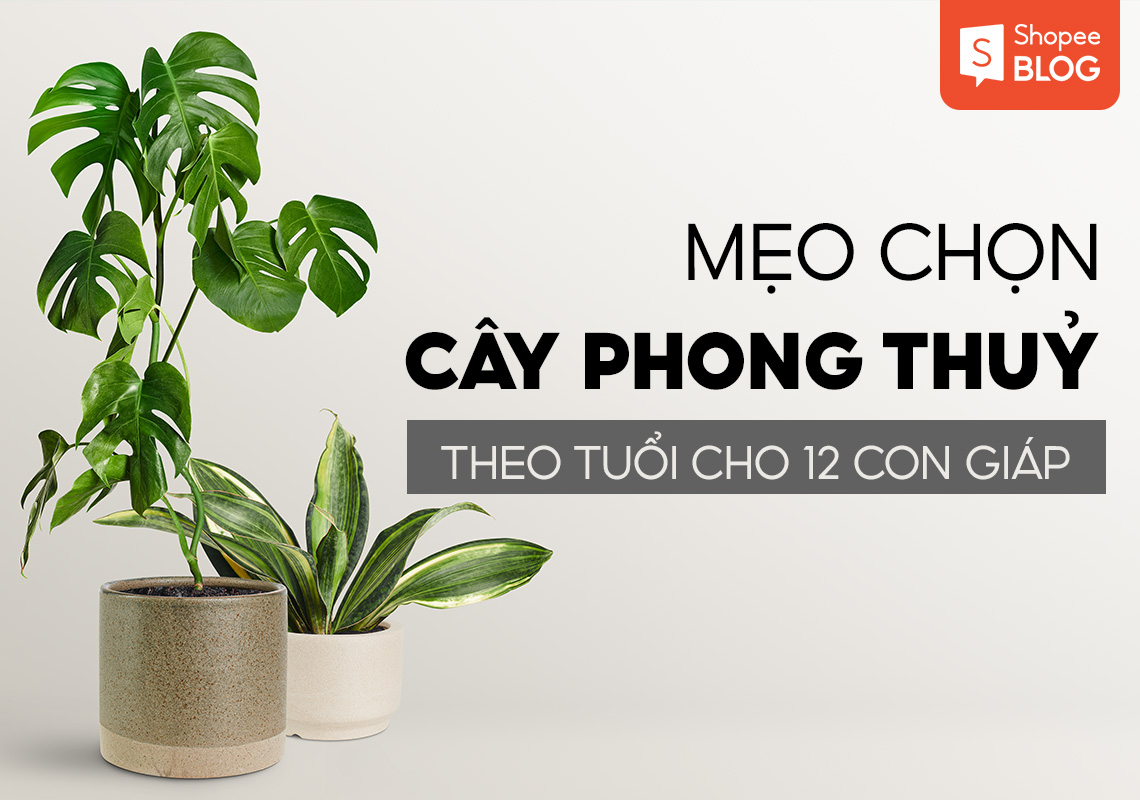 Mẹo chọn cây phong thủy theo tuổi cho 12 con giáp 1