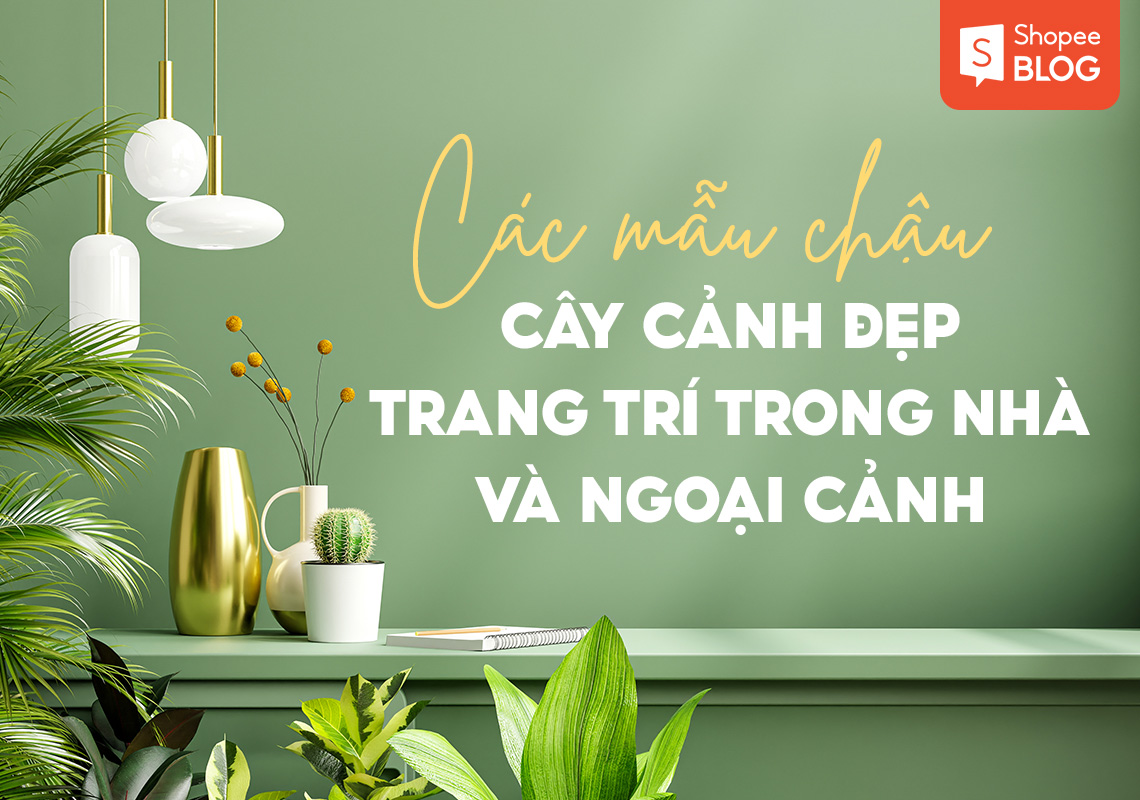 Các mẫu chậu cây cảnh đẹp trang trí trong nhà và ngoại cảnh ...