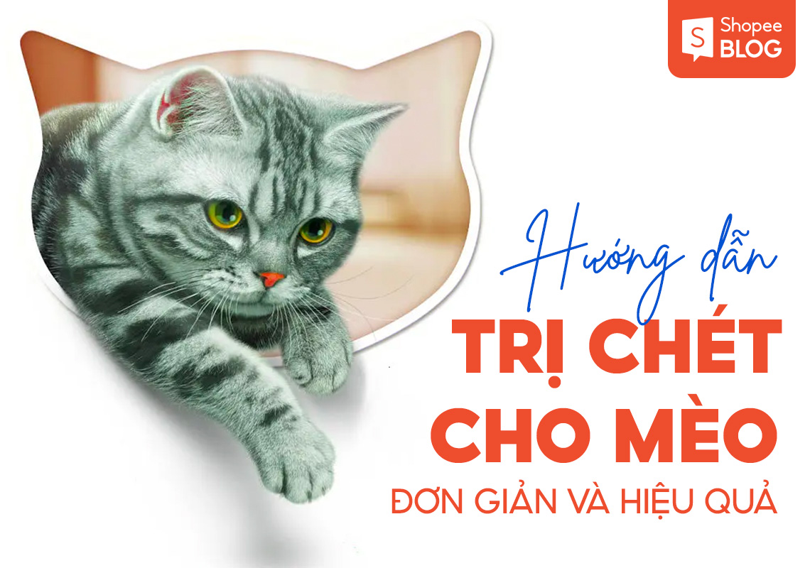 Hướng dẫn cách trị bọ chét cho mèo đơn giản và hiệu quả cho các sen 2