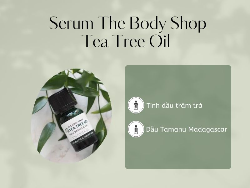 Thành phần serum Tea Tree Oil