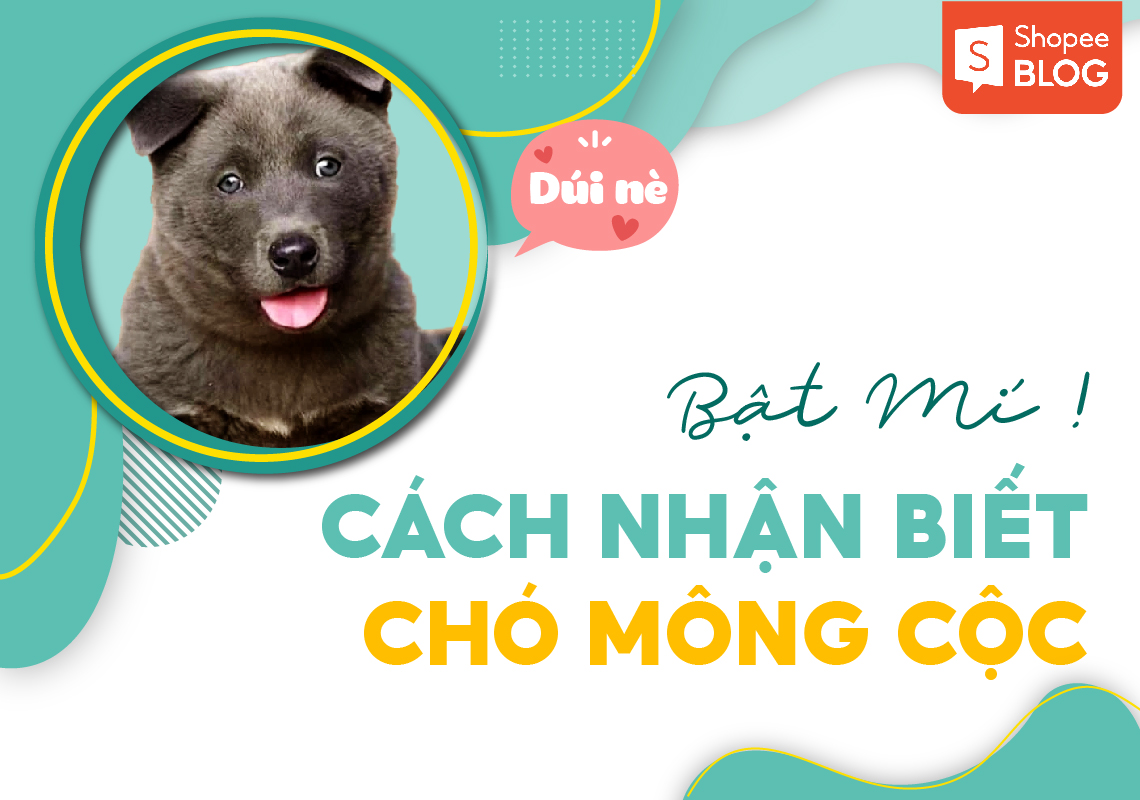 Chó Mông Cộc có đặc điểm ngoại hình như thế nào?
