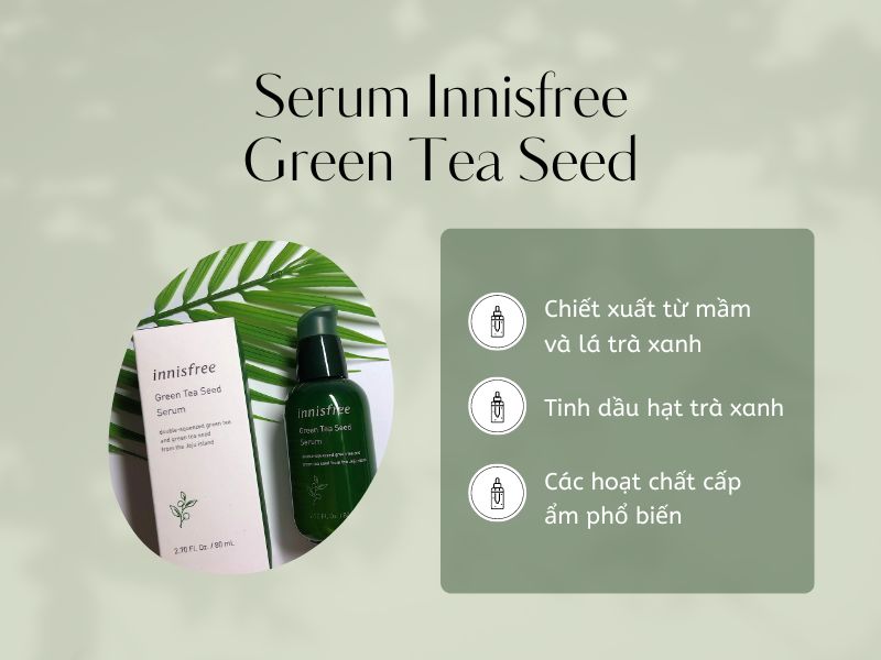 Thành phần serum Innisfree Green Tea Seed