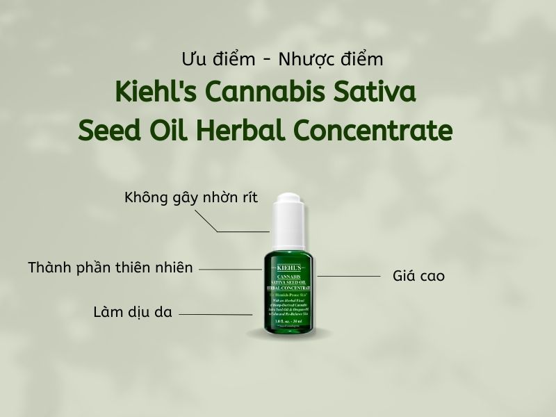 Ưu điểm và nhược điểm serum Kiehl's Cannabis Sativa 