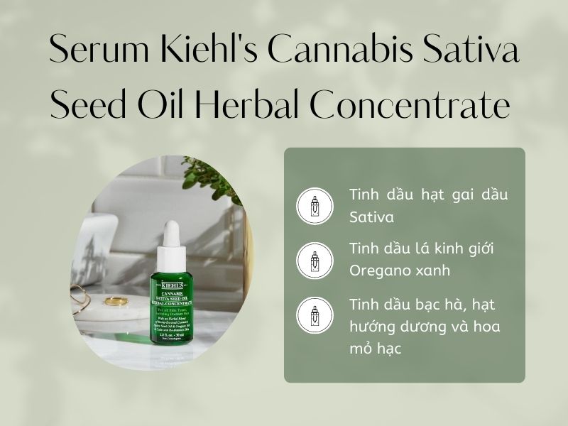 Thành phần serum Kiehl's Cannabis Sativa 