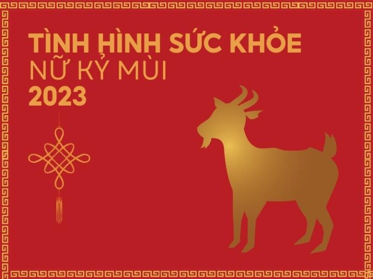 Tử vi tuổi Kỷ Mùi năm 2023 nữ mạng có tốt không? Shopee Blog