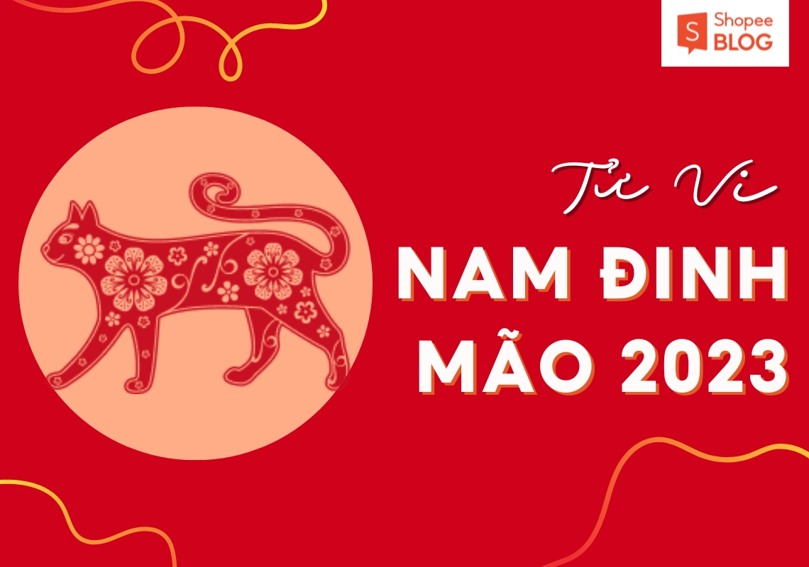 Bình giải lá số tử vi tuổi Đinh Mão năm 2023 nam mạng chính xác nhất 11