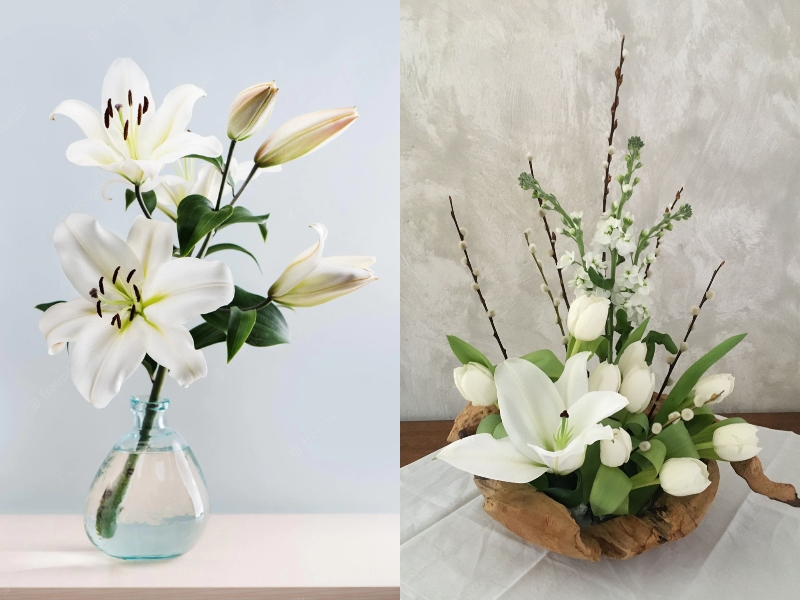 Cách cắm hoa ly ngày Tết đẹp và tươi lâu - Shopee Blog