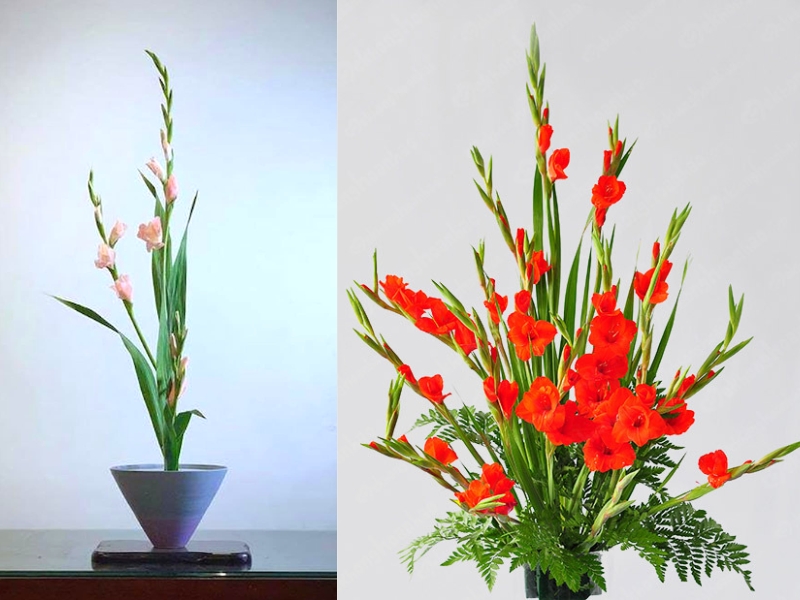 Hai cách cắm hoa lay ơn ngày Tết mà bạn nên tham khảo
