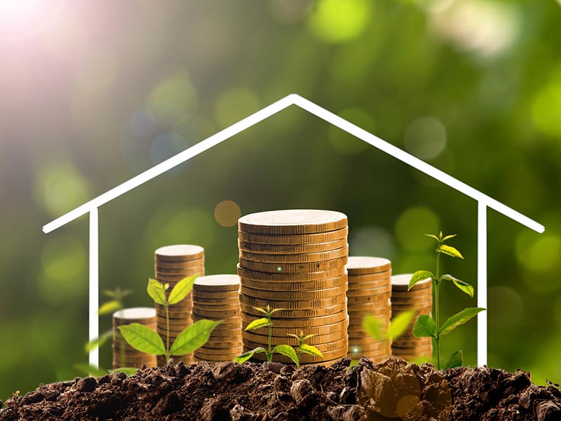 Nữ Mậu Thìn sẽ có vận may về tài chính trong tháng 3 năm 2023