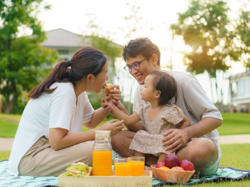 Picnic tại khu du lịch hoặc công viên