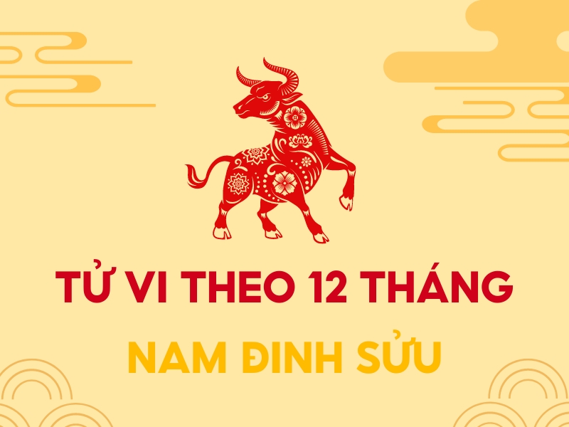 Tử vi Đinh Sửu 2023 nam mạng theo từng tháng (Nguồn: Shopee Blog)