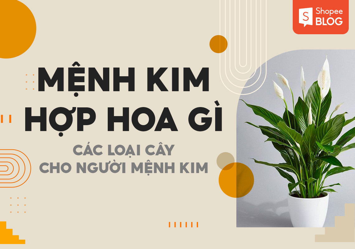 "Mệnh Kim Hợp Với Hoa Gì?" - Khám Phá 9 Loài Hoa Phong Thủy Mang Lại May Mắn Và Tài Lộc