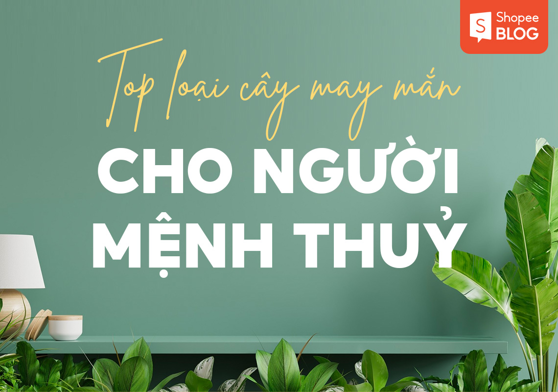 Mệnh Thủy hợp hoa gì? Top 8 loại cây may mắn cho người mệnh Thủy ...