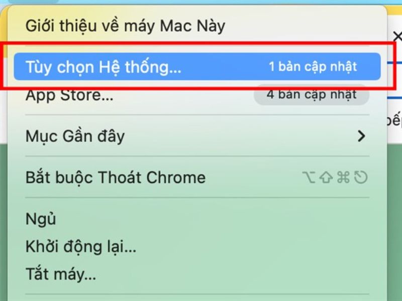 Truy cập Tùy chọn hệ thống (Nguồn: tinhte.vn)