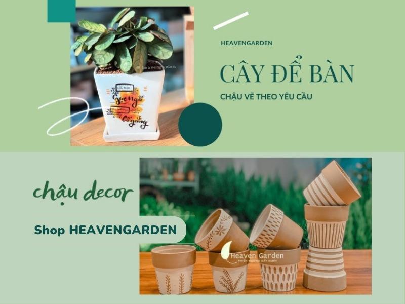 Shop Heavengarden.vn sẽ giúp không gian nhà bạn xanh hơn với các mẫu cây đẹp (Nguồn: Shopee Blog)