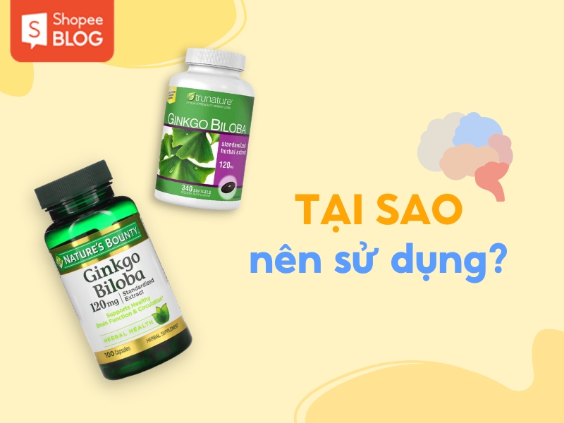 Vì sao nên sử dụng thuốc bổ não Ginkgo Biloba?