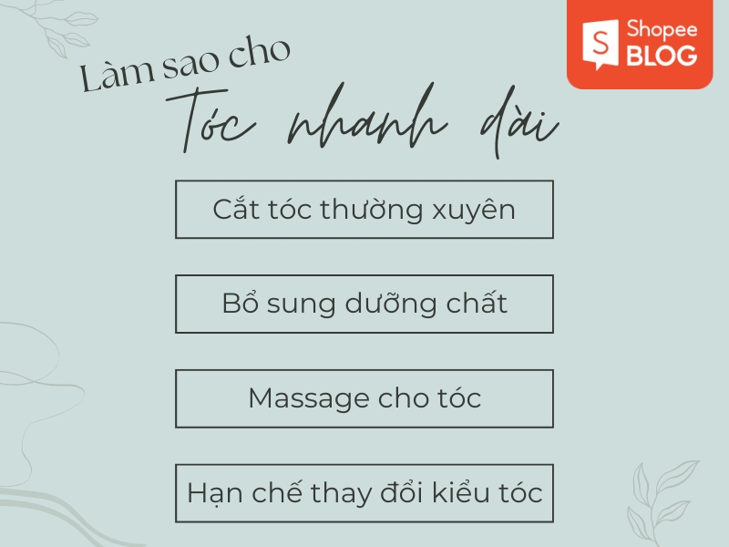 Làm sao để tóc nhanh dài (Nguồn: Shopee Blog)